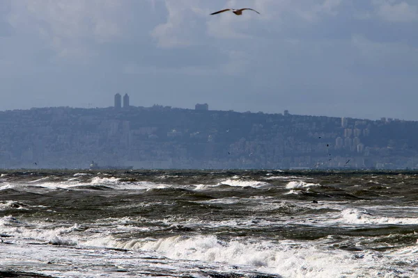 Costa Mediterrânica Norte Israel Fotos Tiradas Antes Quarentena — Fotografia de Stock