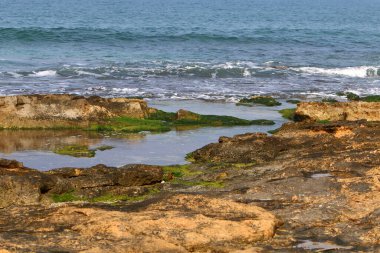 İsrail 'in kuzeyindeki Akdeniz kıyısında. Fotoğraflar karantinadan önce çekildi 