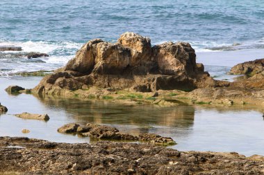 İsrail 'in kuzeyindeki Akdeniz kıyısında. Fotoğraflar karantinadan önce çekildi 