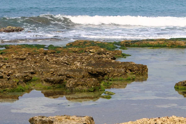イスラエル北部の地中海沿岸 隔離前の写真 — ストック写真