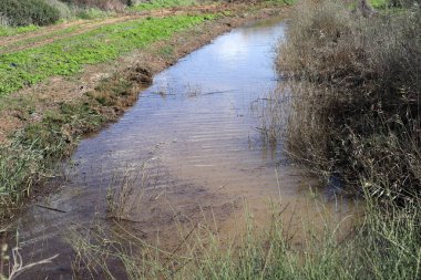 Nehir kuzey İsrail 'de akar, Akdeniz' e akar. 