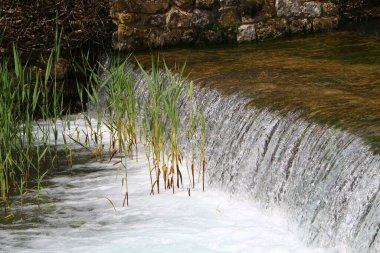 Nehir kuzey İsrail 'de akar, Akdeniz' e akar. 