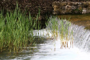 Nehir kuzey İsrail 'de akar, Akdeniz' e akar. 