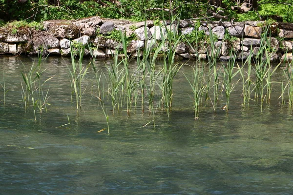 Fiume Scorre Nel Nord Israele Sfocia Nel Mar Mediterraneo — Foto Stock