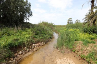 Nehir kuzey İsrail 'de akar, Akdeniz' e akar. 