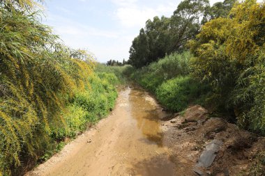 Nehir kuzey İsrail 'de akar, Akdeniz' e akar. 