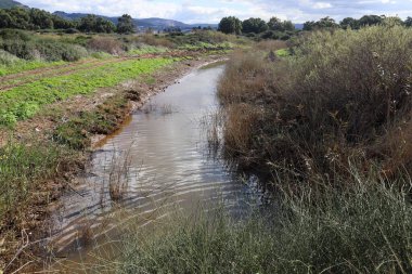 Nehir kuzey İsrail 'de akar, Akdeniz' e akar. 