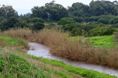 Nehir kuzey İsrail 'de akar, Akdeniz' e akar. 