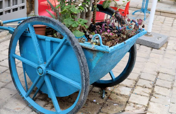 Rollwagen Für Den Transport Von Waren Und Gütern Steht Auf — Stockfoto