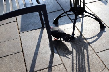 İsrail 'in kuzeyindeki Akdeniz kıyılarında bir kafede bir sandalye ve bir masa duruyor. şehir fotoğrafçılığı 