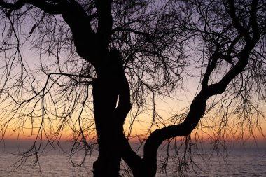 Coronavirus salgını sırasında İsrail 'in kuzeyindeki Akdeniz üzerinde rahatsız edici bir gün batımı. 