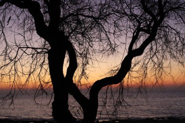 Coronavirus salgını sırasında İsrail 'in kuzeyindeki Akdeniz üzerinde rahatsız edici bir gün batımı. 