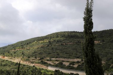 Kuzey İsrail 'in dağlarında bahar manzarası, yeşil dağ yamaçları ve çayırlar. 