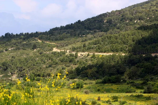 Wiosenny Krajobraz Górach Północnego Izraela Zielone Góry Łąki — Zdjęcie stockowe