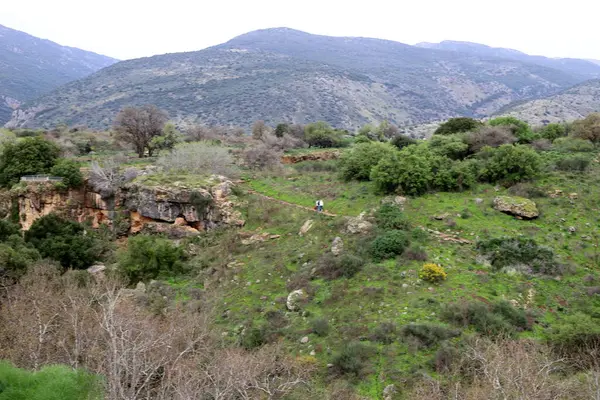 이스라엘 의산들 초원의 — 스톡 사진