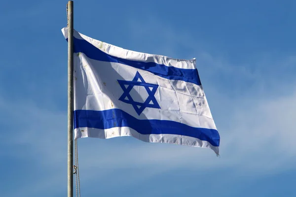 데이비드의 개달린 바탕의 이스라엘 국기입니다 이스라엘의 독립일 — 스톡 사진