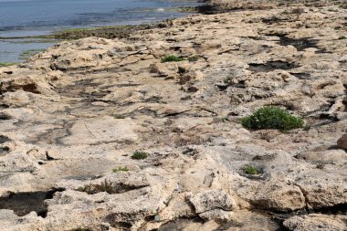 Kuzey İsrail 'deki Akdeniz' in kayalık kıyı şeridi. İsrail 'e yaz geldi. 