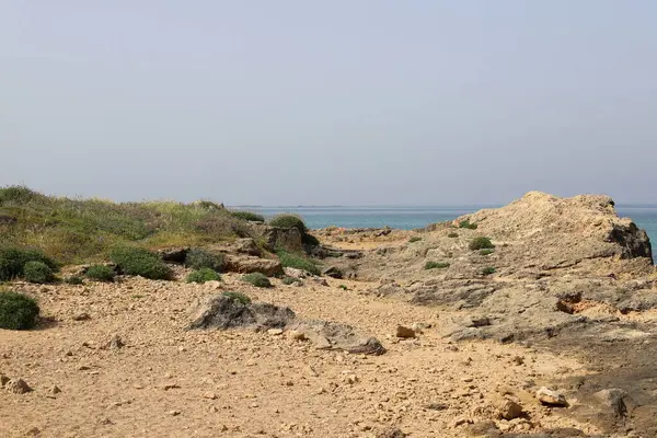 北イスラエルの地中海の岩だらけの海岸線 イスラエルに夏が来た — ストック写真