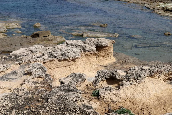 Rotsachtige Kust Van Middellandse Zee Het Noorden Van Israël Zomer — Stockfoto