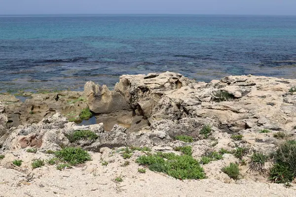 北イスラエルの地中海の岩だらけの海岸線 イスラエルに夏が来た — ストック写真