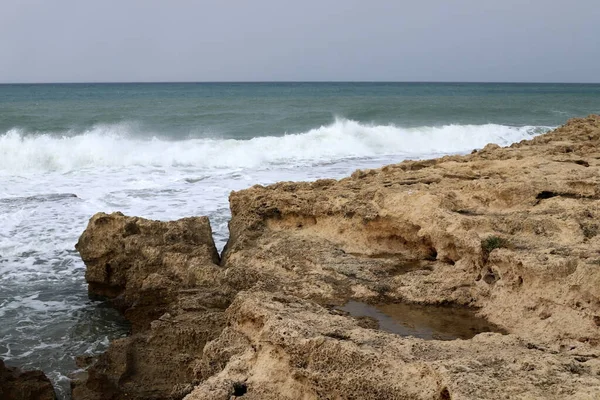 Die Felsige Mittelmeerküste Norden Israels Der Sommer Ist Israel Angekommen — Stockfoto