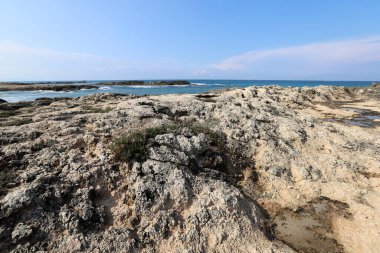 Kuzey İsrail 'deki Akdeniz' in kayalık kıyı şeridi. İsrail 'e yaz geldi. 