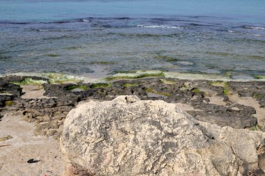 Kuzey İsrail 'deki Akdeniz' in kayalık kıyı şeridi. İsrail 'e yaz geldi. 