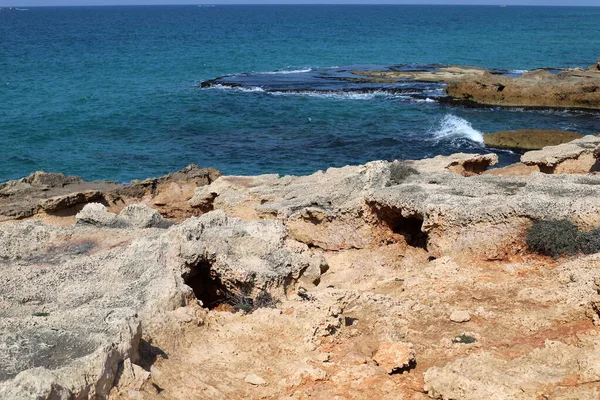 Costa Rochosa Mar Mediterrâneo Norte Israel Verão Chegou Israel — Fotografia de Stock