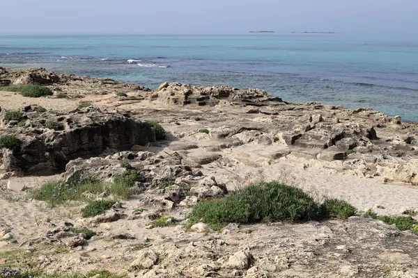 Kuzey İsrail 'deki Akdeniz' in kayalık kıyı şeridi. İsrail 'e yaz geldi. 