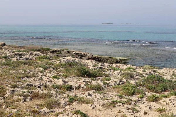 Kuzey İsrail 'deki Akdeniz' in kayalık kıyı şeridi. İsrail 'e yaz geldi. 