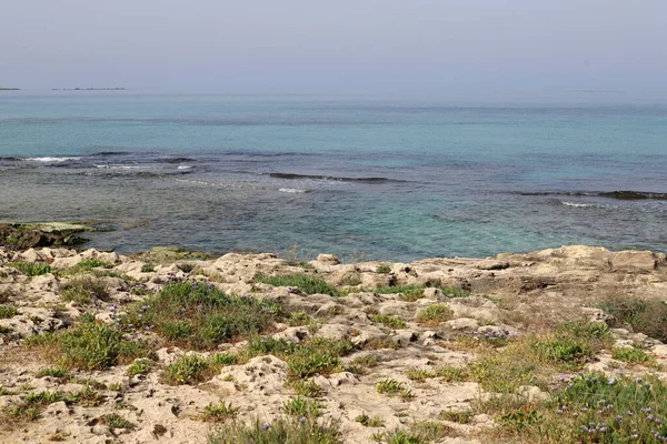 Kuzey İsrail 'deki Akdeniz' in kayalık kıyı şeridi. İsrail 'e yaz geldi. 