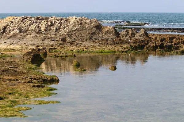 Costa Rocosa Del Mar Mediterráneo Norte Israel Verano Llegado Israel — Foto de Stock