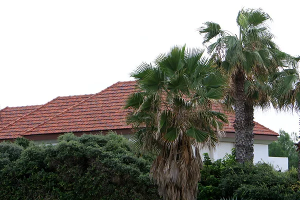 Οροφή Ενός Σπιτιού Στο Βόρειο Ισραήλ Καλύπτεται Νέα Κόκκινα Κεραμίδια — Φωτογραφία Αρχείου