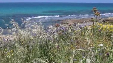 İsrail 'in kuzeyindeki Akdeniz kıyısında. Fotoğraflar karantinadan önce çekildi 