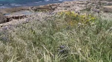 İsrail 'in kuzeyindeki Akdeniz kıyısında. Fotoğraflar karantinadan önce çekildi 