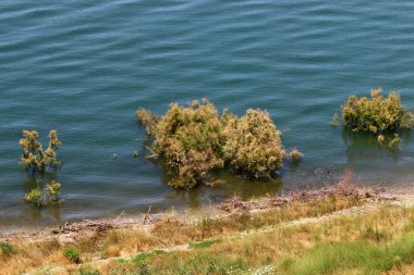 Celile Denizi, İsrail 'de bir tatlı su gölüdür. Dünyadaki en düşük tatlı su gölü. 