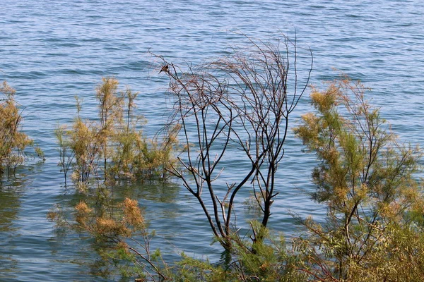 Sea Galilee Galilee Freshwater Lake Israel Lowest Freshwater Lake Earth — Stock Photo, Image