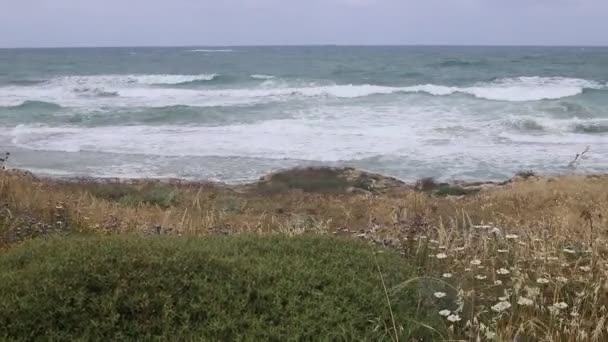 Середземне Узбережжя Півночі Ізраїлю Фотографії Карантину — стокове відео