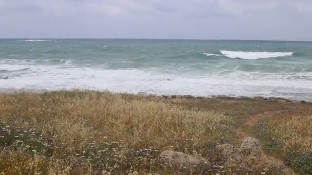 Middellandse Zeekust Het Noorden Van Israël Foto Genomen Voor Quarantaine — Stockvideo