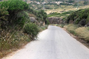 Kırsal toprak yol. Yol İsrail 'in kuzeyinde bir ormandan geçiyor. 