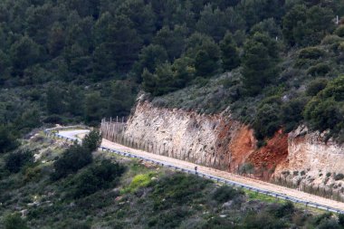 Kırsal toprak yol. Yol İsrail 'in kuzeyinde bir ormandan geçiyor. 