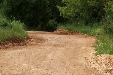 Kırsal toprak yol. Yol İsrail 'in kuzeyinde bir ormandan geçiyor. 