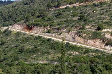 Kırsal toprak yol. Yol İsrail 'in kuzeyinde bir ormandan geçiyor. 