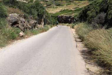 Kırsal toprak yol. Yol İsrail 'in kuzeyinde bir ormandan geçiyor. 