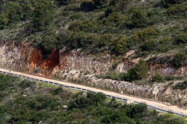 Kırsal toprak yol. Yol İsrail 'in kuzeyinde bir ormandan geçiyor. 