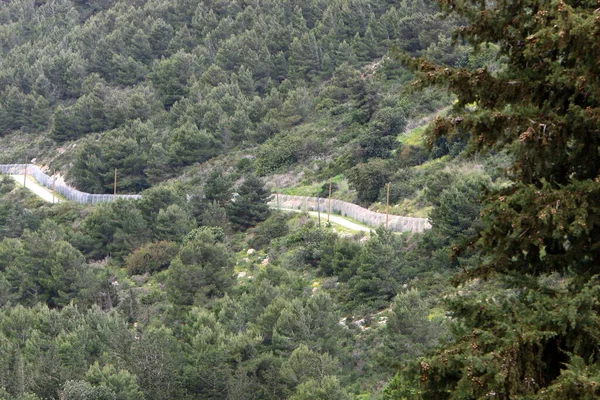 Chemin Terre Rural Route Passe Dans Une Forêt Nord Israël — Photo