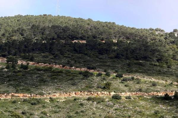 Lantlig Grusväg Vägen Passerar Skog Norra Israel — Stockfoto