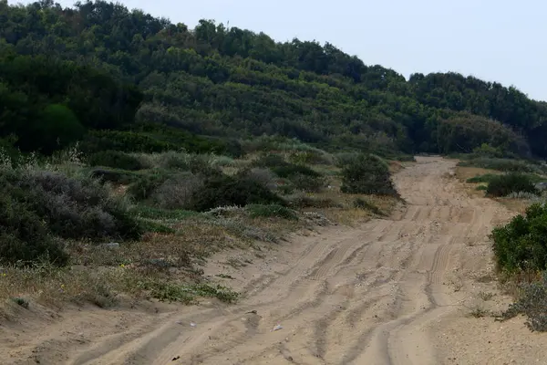 未舗装の田舎道 道路はイスラエル北部の森を通っている — ストック写真