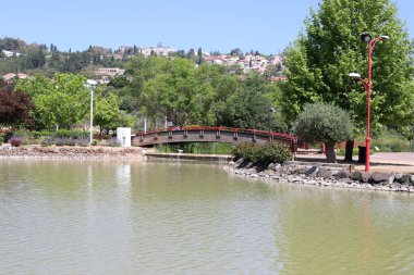 Köprü - Kuzey İsrail 'deki bir orman parkında inşa edilmiş yapay bir yapı. 