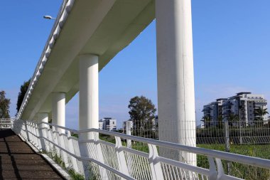 Köprü - Kuzey İsrail 'deki bir orman parkında inşa edilmiş yapay bir yapı. 